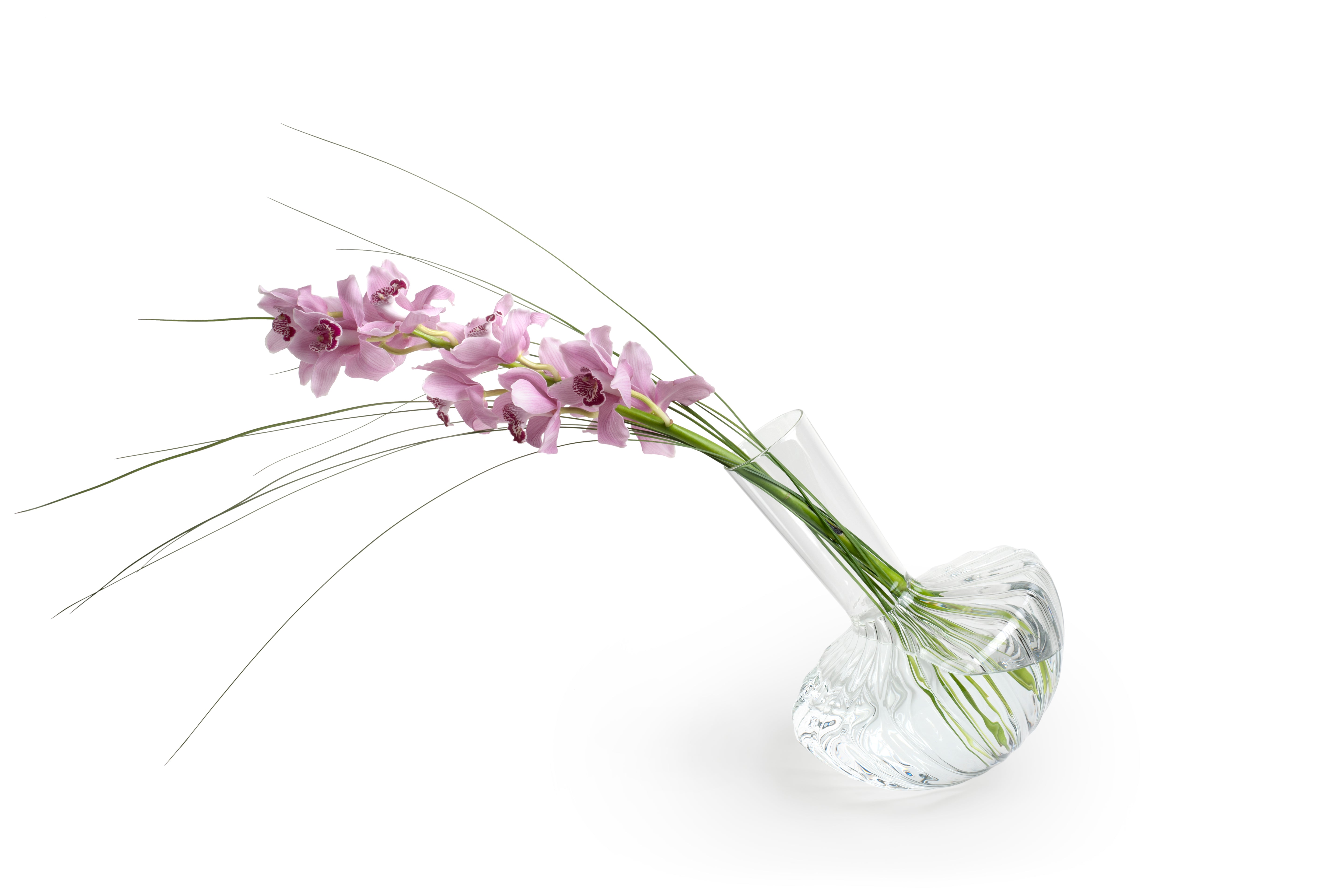 Clear glass vase with pink flowers on a white background.