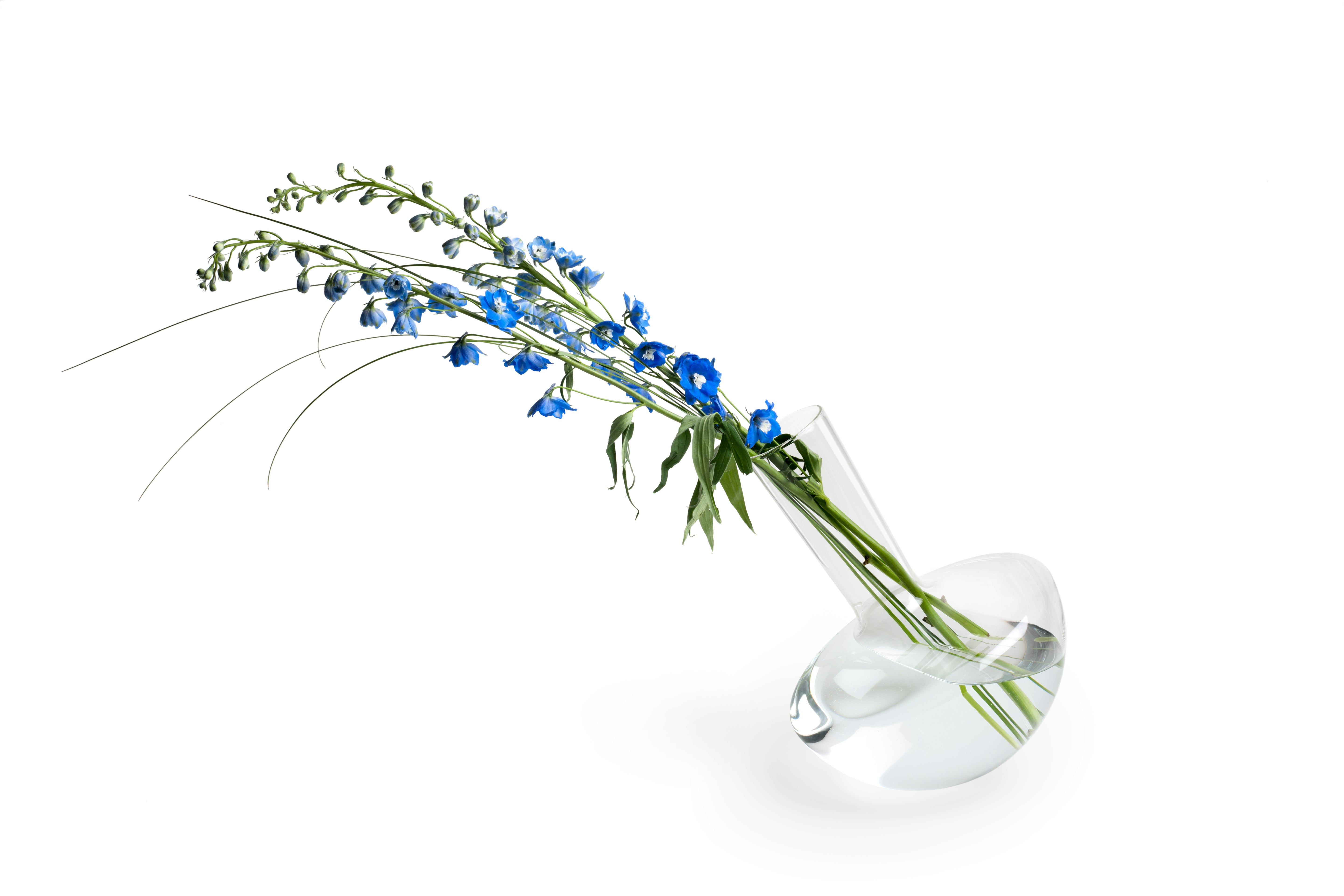 Clear glass vase with blue flowers on a white background.