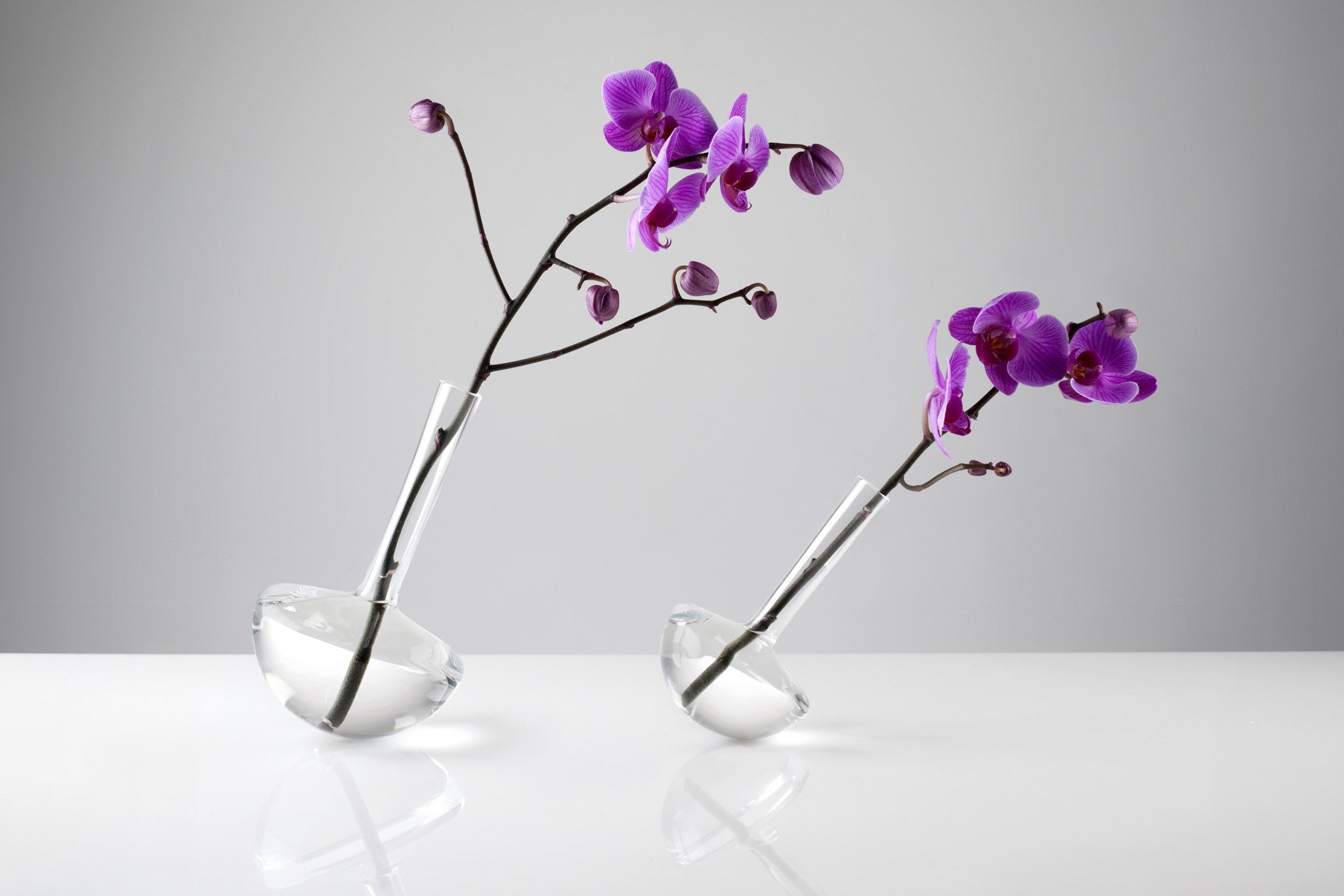 GAUGE vase (Stems, with Single Stem) - Photograph by John R Ward