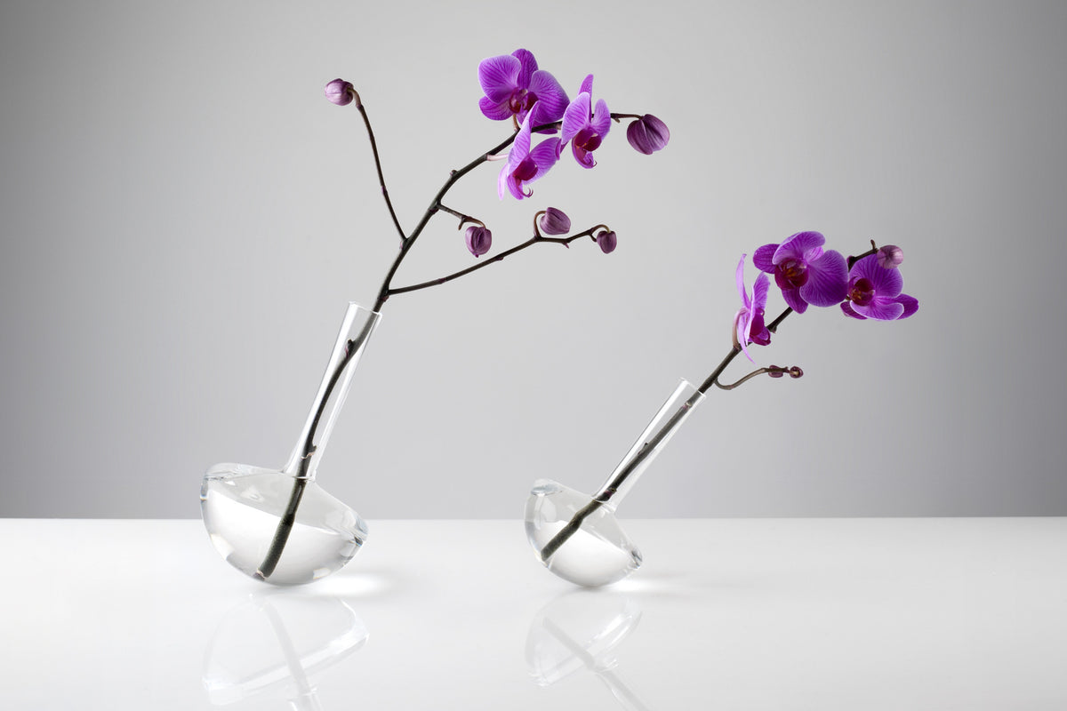 GAUGE vase (Stems, with Single Stem) - Photograph by John R Ward
