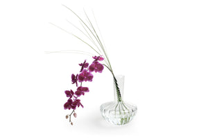 Clear glass vase with purple orchids on a white background
