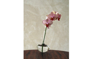 GAUGE Borosilicate vase (Single Stem)