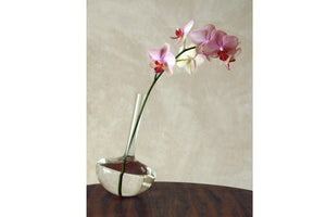 GAUGE Borosilicate vase (Stems)