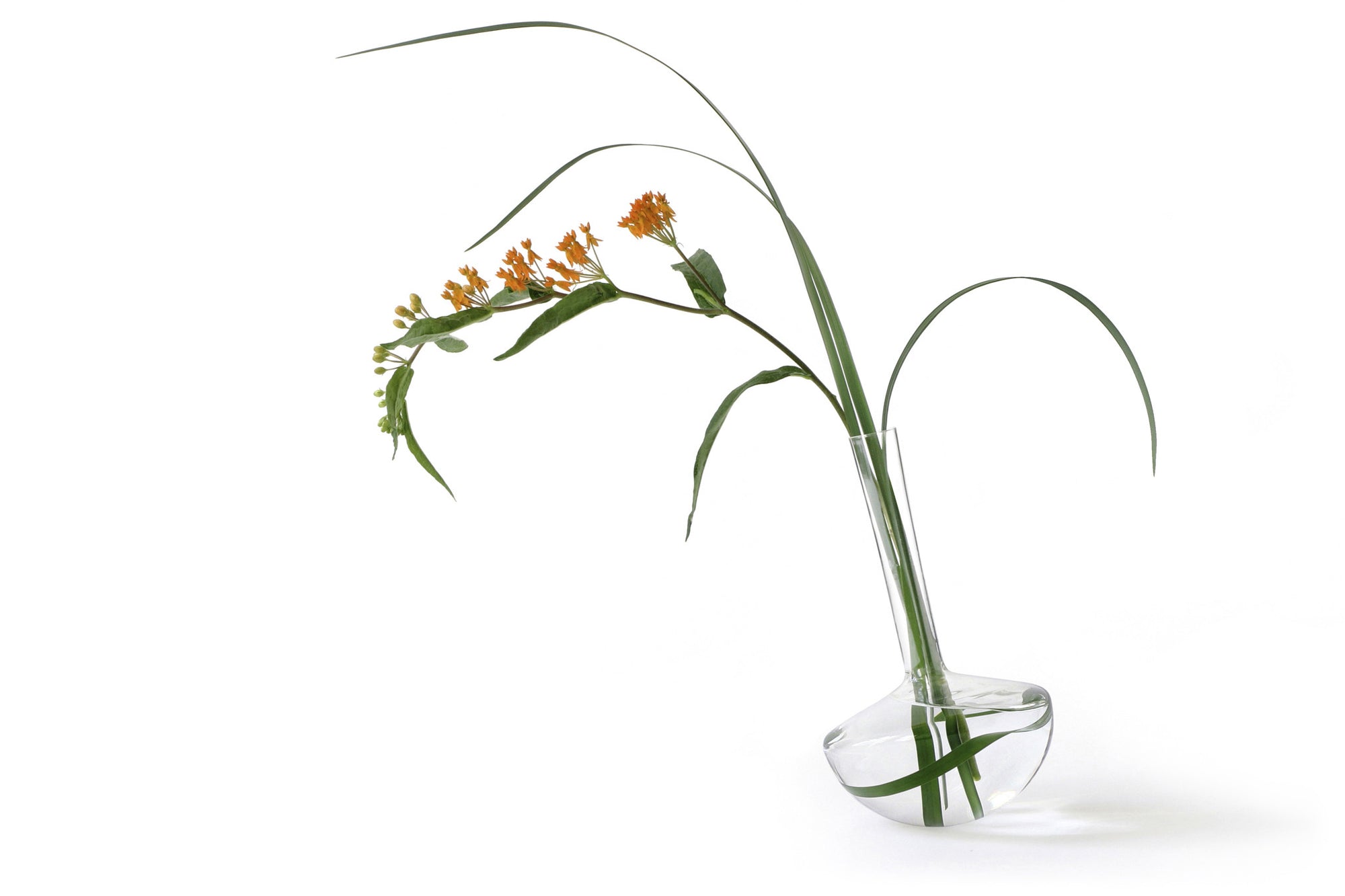 GAUGE Borosilicate vase (Stems)