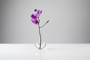 GAUGE vase (Single stem, Clear) - Photograph by John R Ward